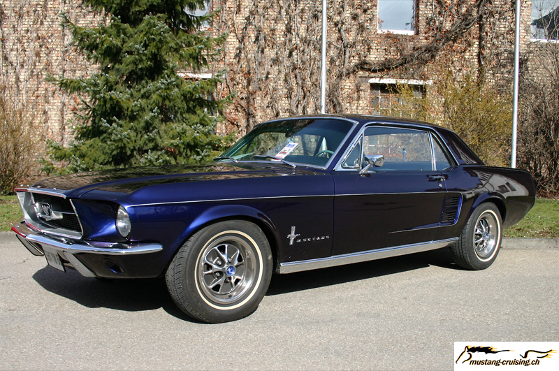 CRW_5223_JFR.jpg