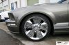 CRW_5158_JFR.jpg