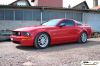 CRW_5213_JFR.jpg
