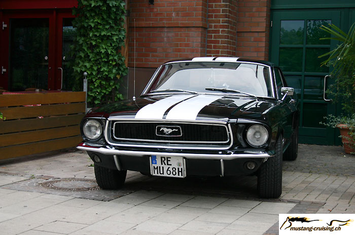 CRW_6869_JFR.jpg