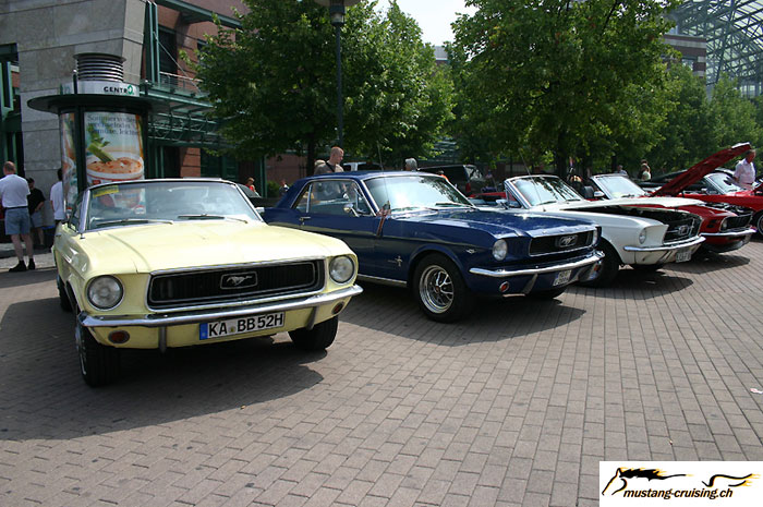 CRW_6880_JFR.jpg