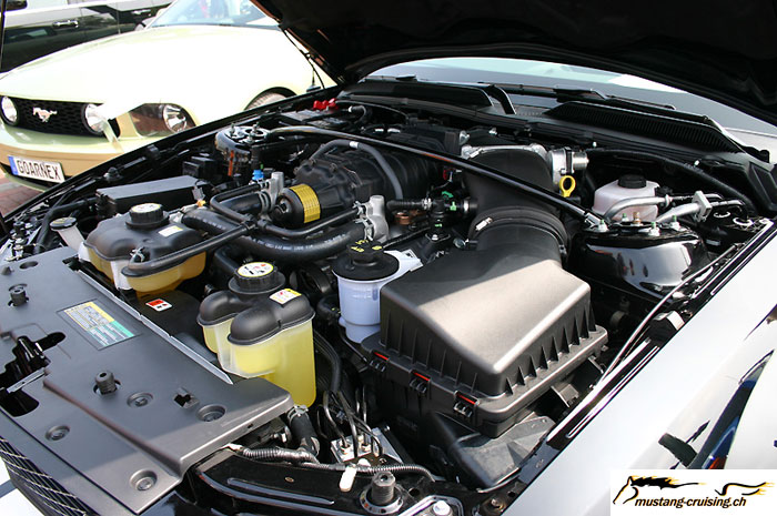 CRW_6883_JFR.jpg