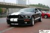 CRW_6801_JFR.jpg
