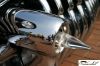 CRW_6912_JFR.jpg