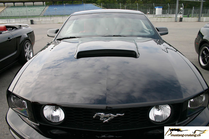CRW_7332_JFR.jpg