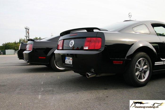 CRW_7389_JFR.jpg
