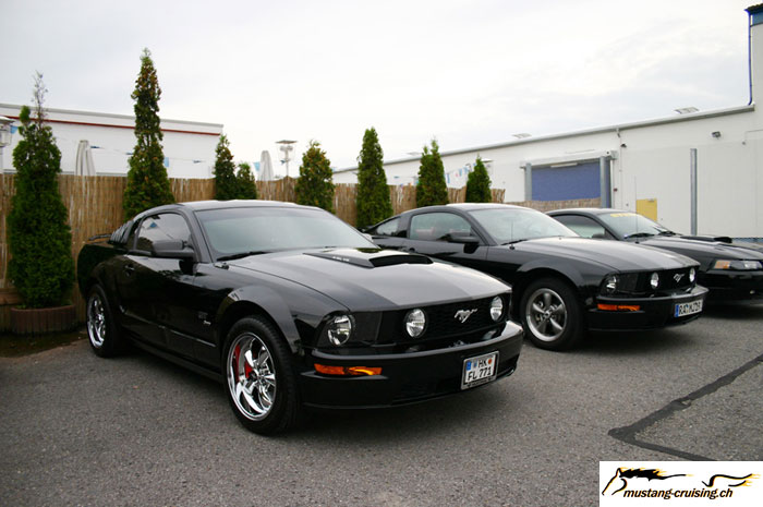 CRW_7393_JFR.jpg
