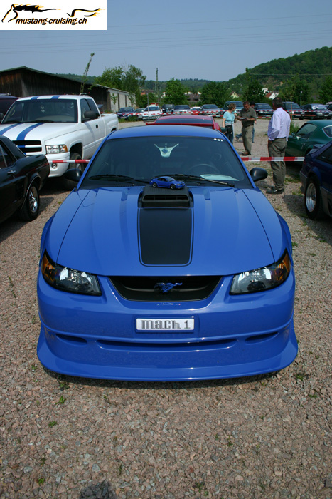 CRW_1324_RJ.jpg