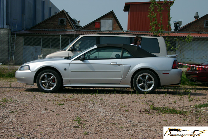 CRW_1326_RJ.jpg