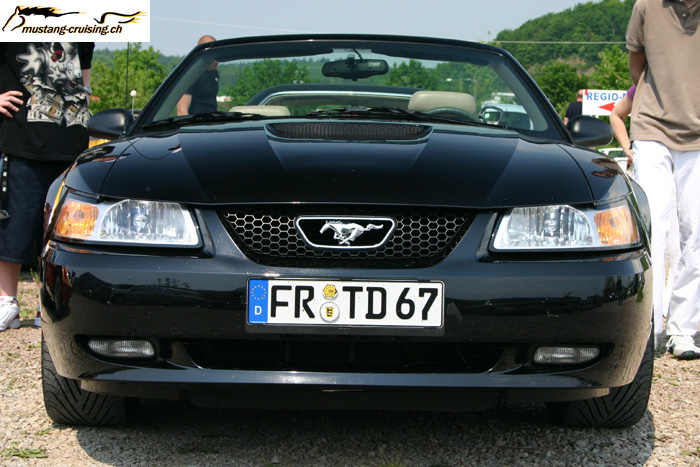 CRW_1417_RJ.jpg