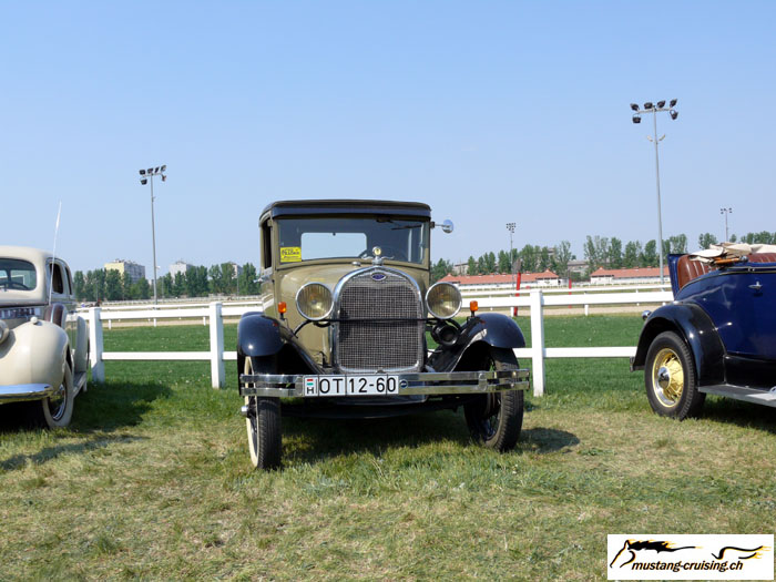 P1010388.jpg