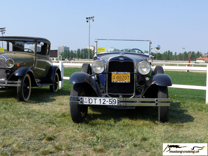 P1010389.jpg