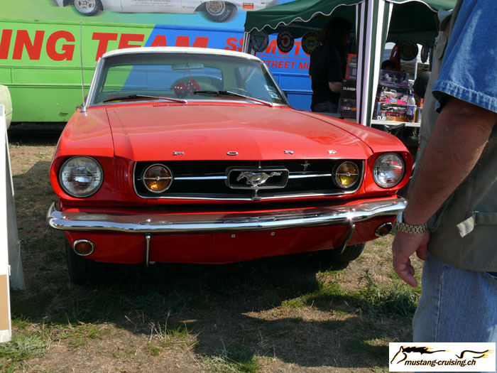 P1010412.jpg