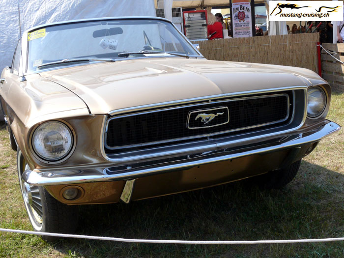 P1010423.jpg