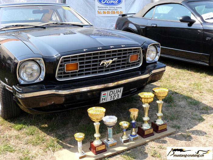 P1010424.jpg