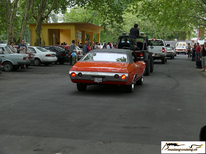 P1010491.jpg