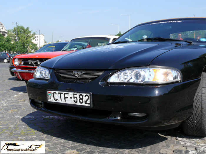 P1010545.jpg