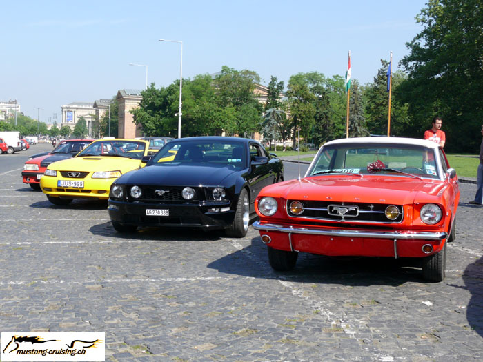 P1010546.jpg