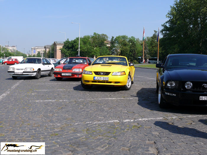 P1010556.jpg