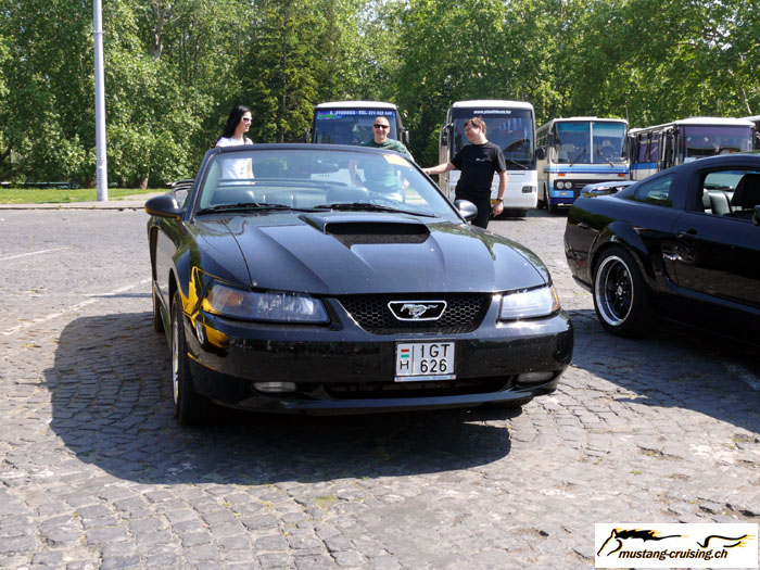 P1010578.jpg