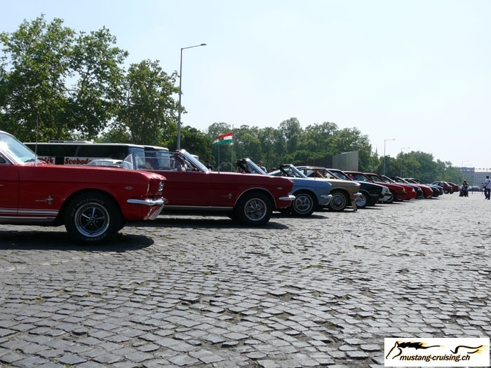 P1010583.jpg