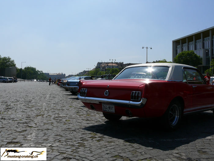 P1010586.jpg