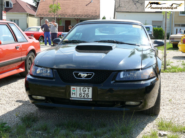 P1010627.jpg