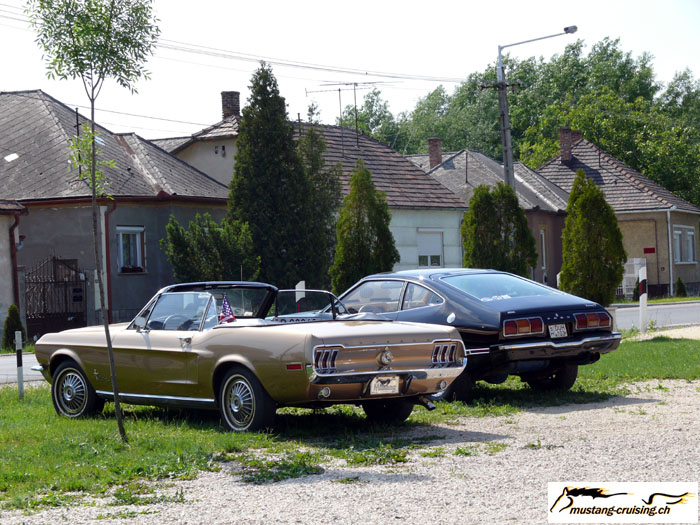 P1010644.jpg