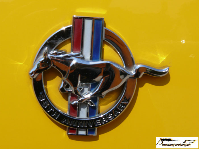P1010650_13.jpg
