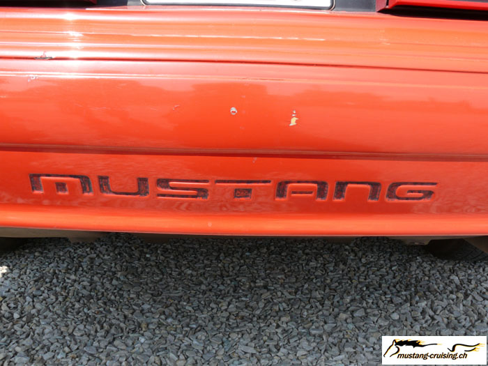 P1010650_35.jpg