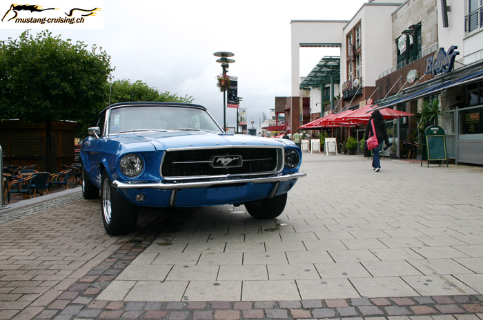 CRW_2591_JFR.jpg