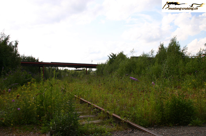 CRW_2635_JFR.jpg
