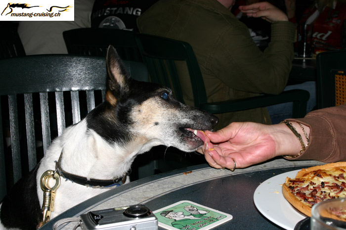 CRW_2672_JFR.jpg