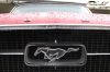CRW_2564_JFR.jpg