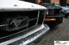 CRW_2568_JFR.jpg
