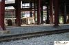 CRW_2641_JFR.jpg