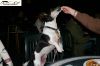 CRW_2674_JFR.jpg