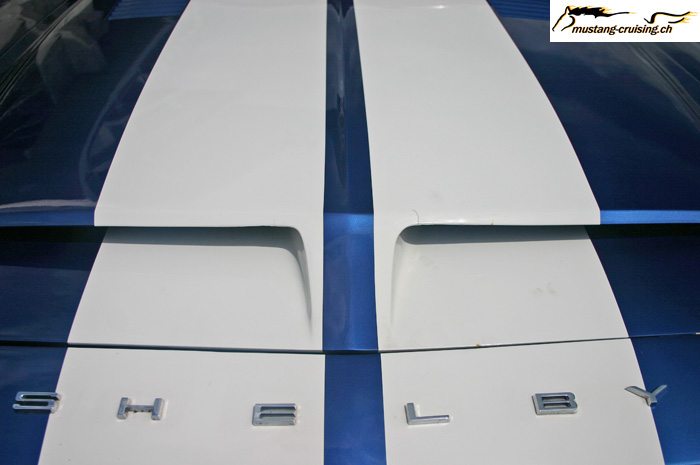 CRW_5506_JFR.jpg