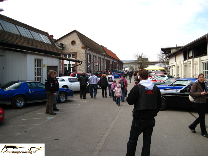 IMG_4626.jpg