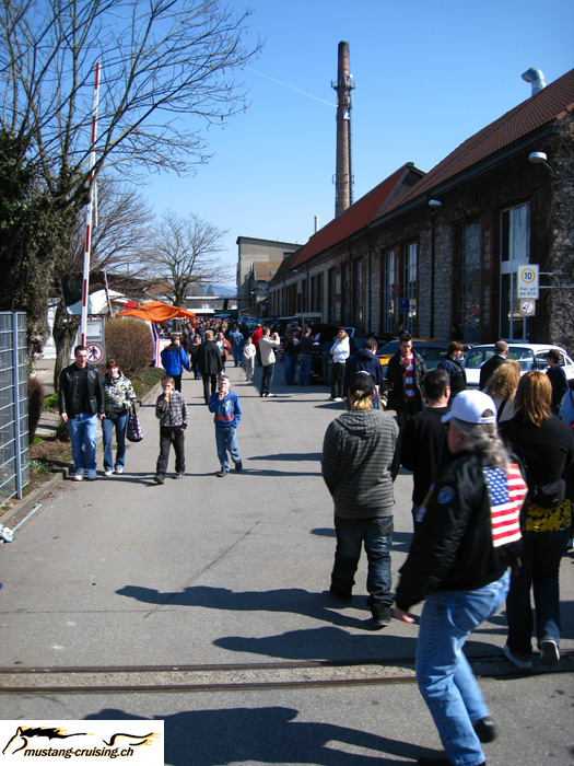 IMG_4709.jpg