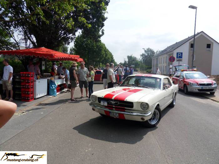 SDC10098.jpg