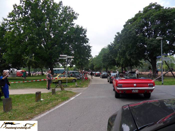 SDC10130.jpg