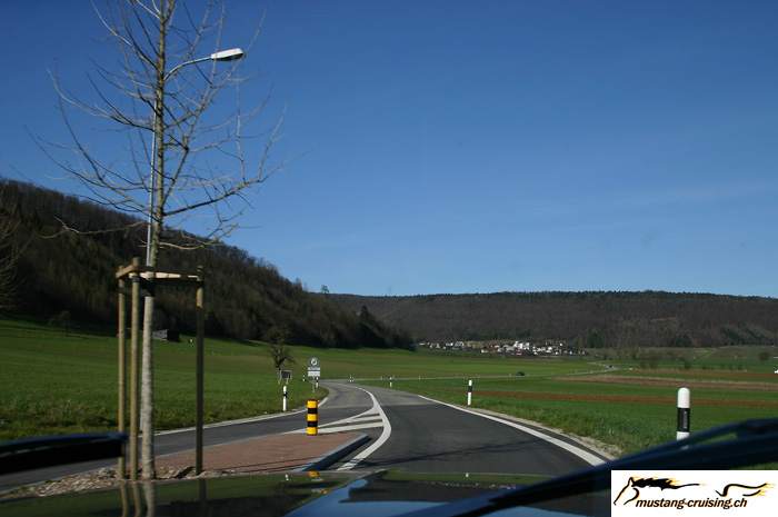 CRW_0333_JFR.jpg