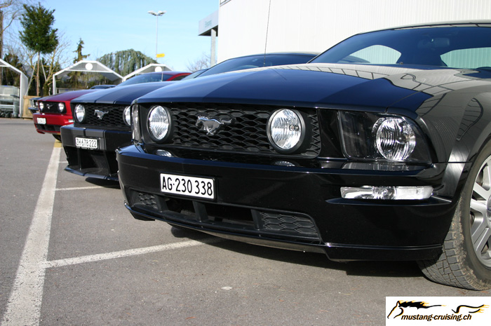 CRW_0434_JFR.jpg