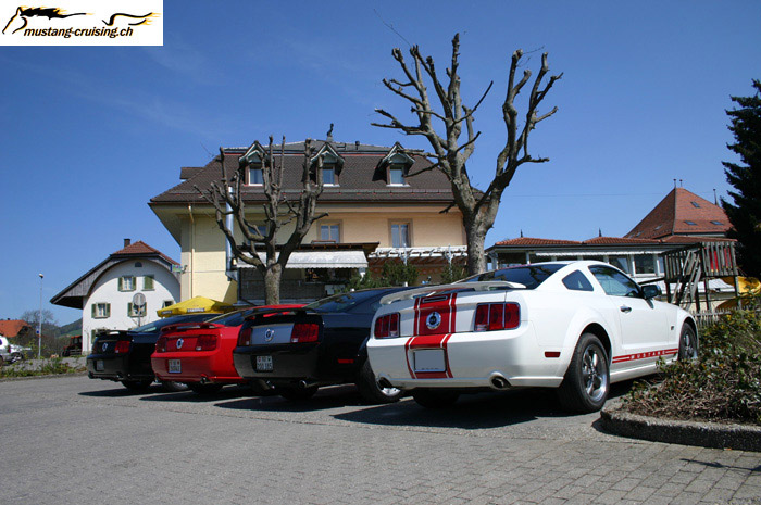 CRW_1146_JFR.jpg