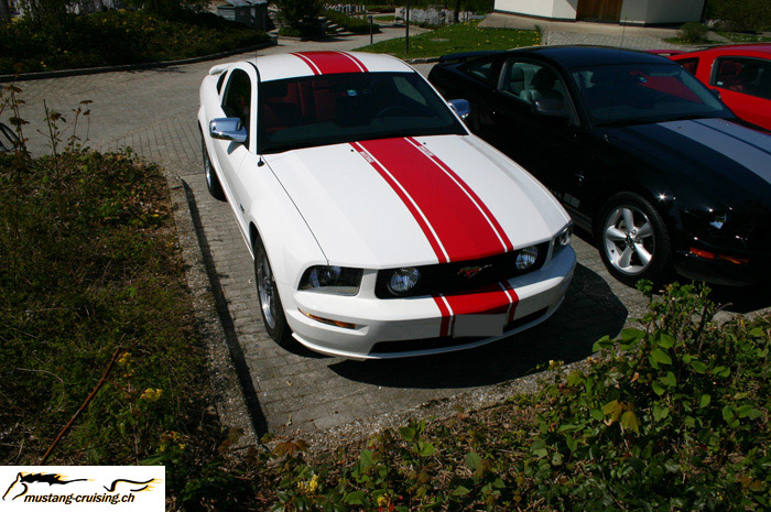 CRW_1147_JFR.jpg