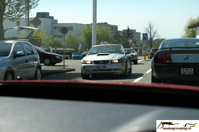CRW_1155_JFR.jpg