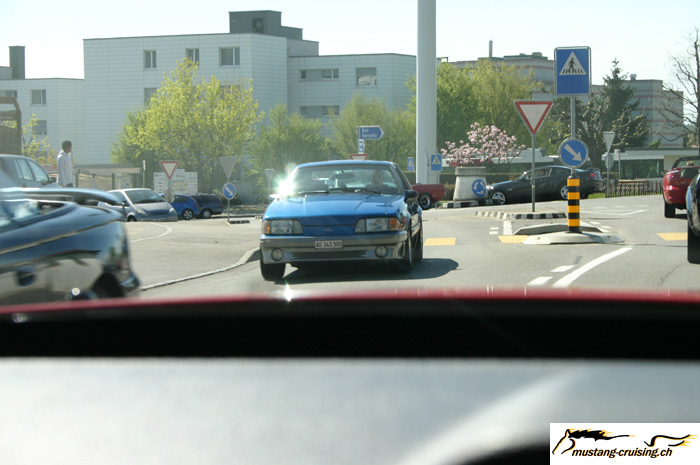 CRW_1158_JFR.jpg