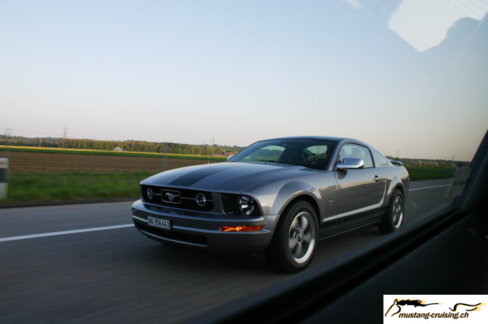 CRW_1212_JFR.jpg