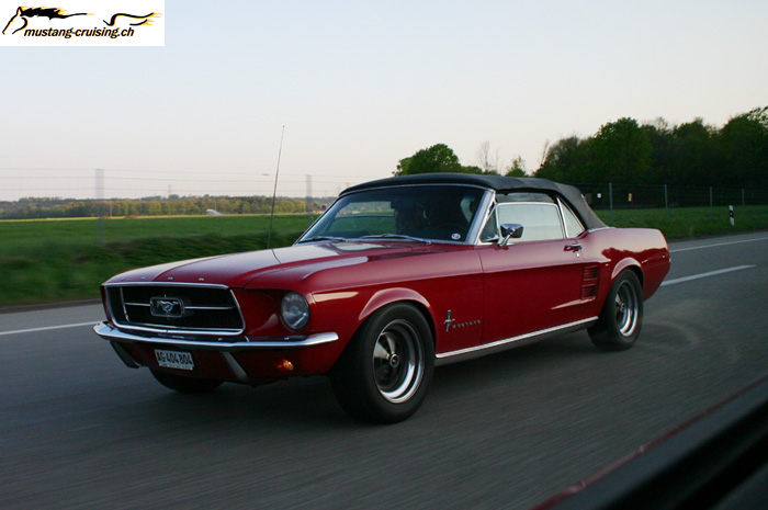 CRW_1216_JFR.jpg